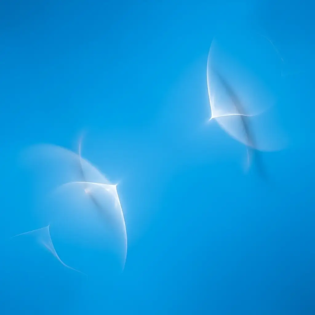 He who is not content with what he has would not be content with what he would like to have. Secrets Of Contentment, How To Find Inner Peace, Lasting Happiness, Holistic Wellness, Metaphysical Spirituality, Finding Fulfillment